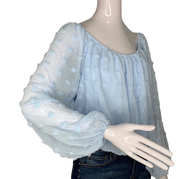 Audrey Parks+Francesca's NWT Blouse Sheer Long Sleeve Light Blue Pullover Size S - Picture 3 of 12